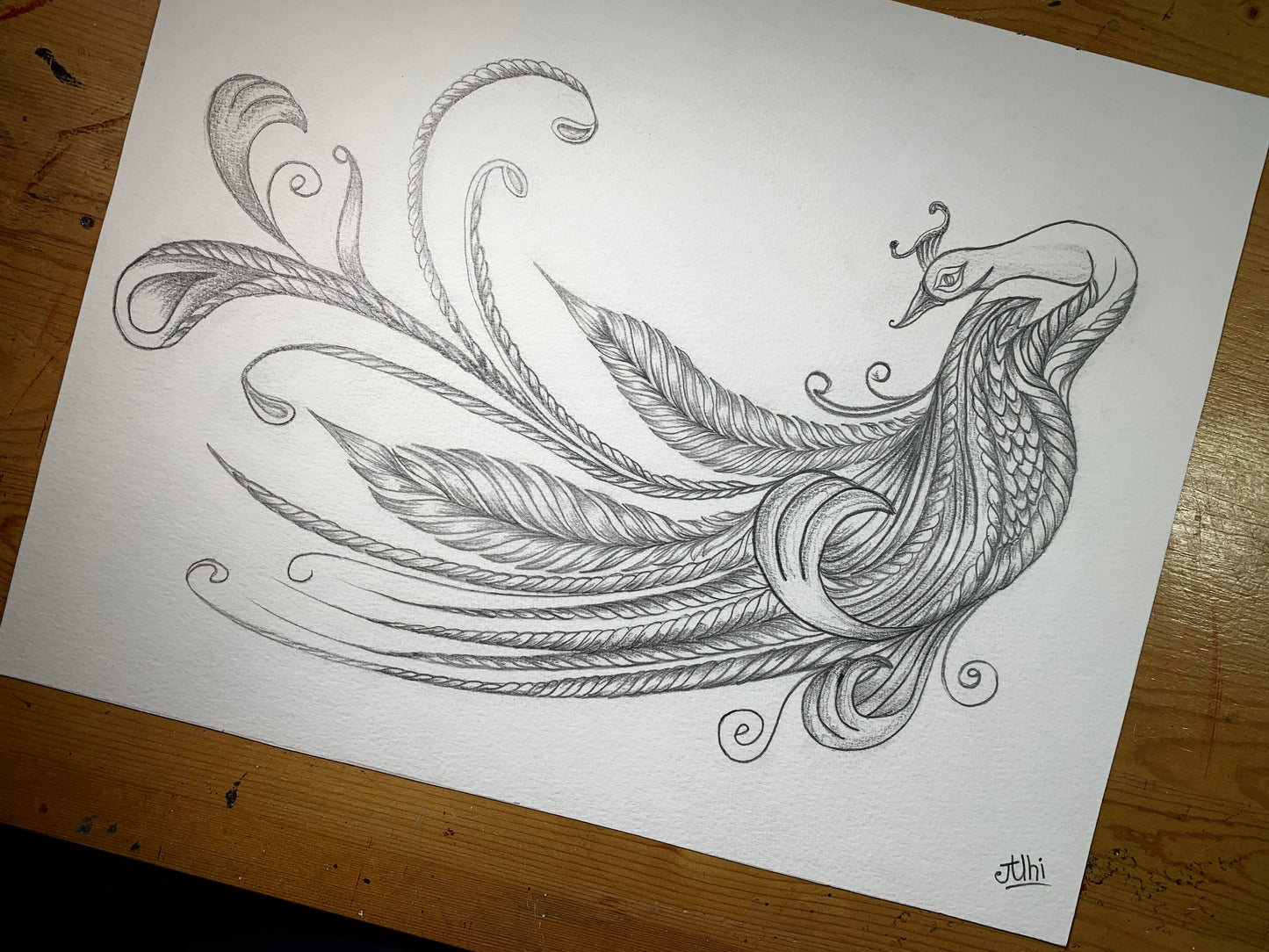 Peacock sketch