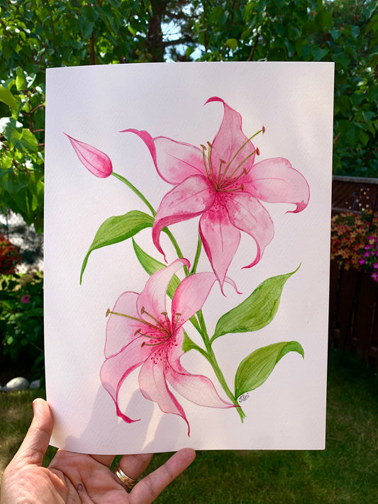 Stargazer Lily